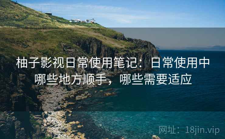 柚子影视日常使用笔记：日常使用中哪些地方顺手，哪些需要适应  第2张