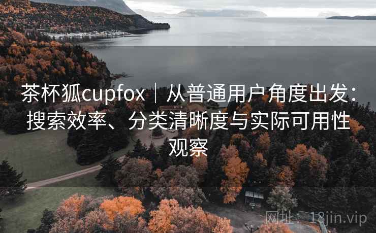 茶杯狐cupfox｜从普通用户角度出发：搜索效率、分类清晰度与实际可用性观察  第2张