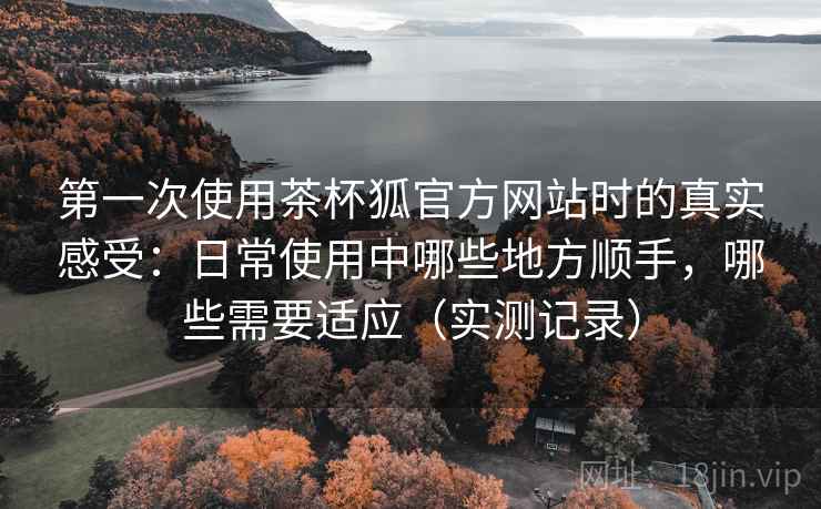 第一次使用茶杯狐官方网站时的真实感受：日常使用中哪些地方顺手，哪些需要适应（实测记录）  第1张