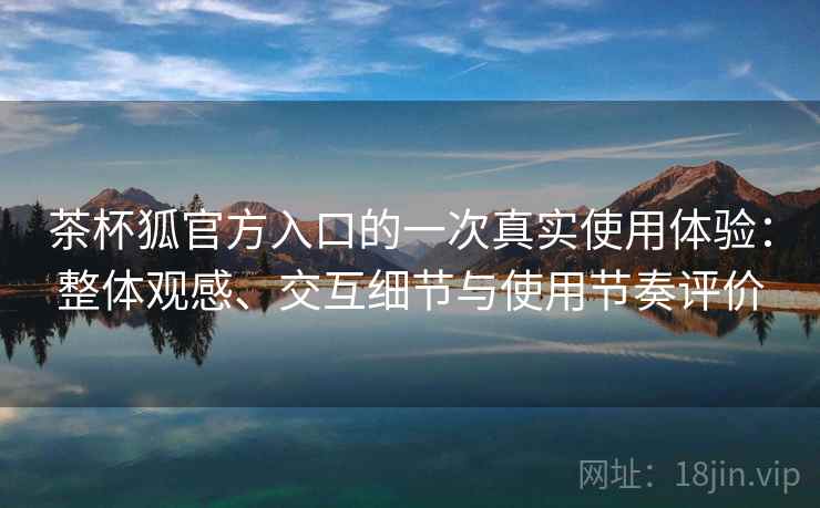 茶杯狐官方入口的一次真实使用体验：整体观感、交互细节与使用节奏评价